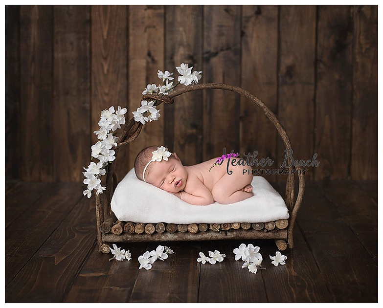 Newborn, Sun Prairie newborn photographer, Sun Prairie portrait photographer