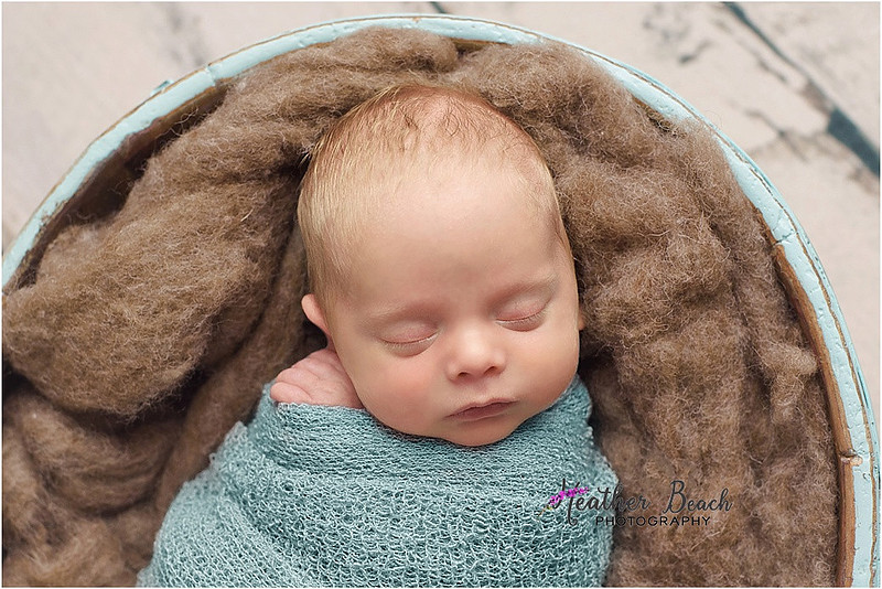 newborn photos, bucket, Madison baby photographer, Sun Prairie newborn photographer