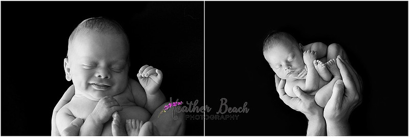 newborn photos, bucket, Madison baby photographer, Sun Prairie newborn photographer