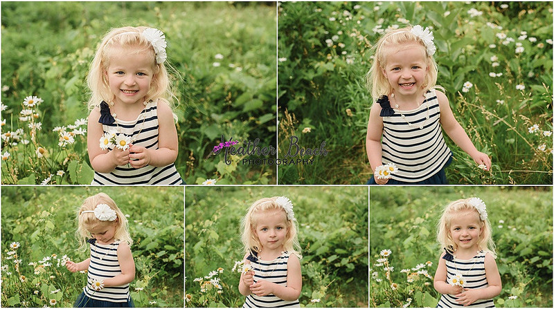 Sun Prairie family photographer, Madison family photographer, Sun Prairie child photographer, flowers, field, beautiful girl