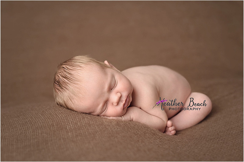 Sun Prairie newborn photographer, studio photography, Sun Prairie baby photographer, posed newborn images