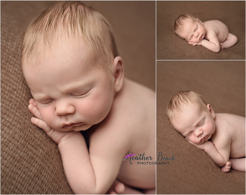 Sun Prairie newborn photographer, studio photography, Sun Prairie baby photographer, posed newborn images