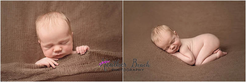 Sun Prairie newborn photographer, studio photography, Sun Prairie baby photographer, posed newborn images