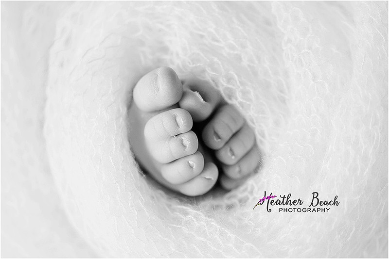 Sun Prairie newborn photographer, studio photography, Sun Prairie baby photographer, posed newborn images