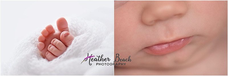 Sun Prairie newborn photographer, studio photography, Sun Prairie baby photographer, posed newborn images