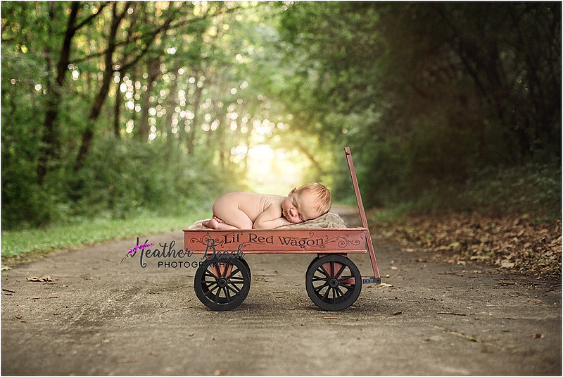 Sun Prairie newborn photographer, Sun Prairie baby photographer, outdoor newborn photography, basket, wagon