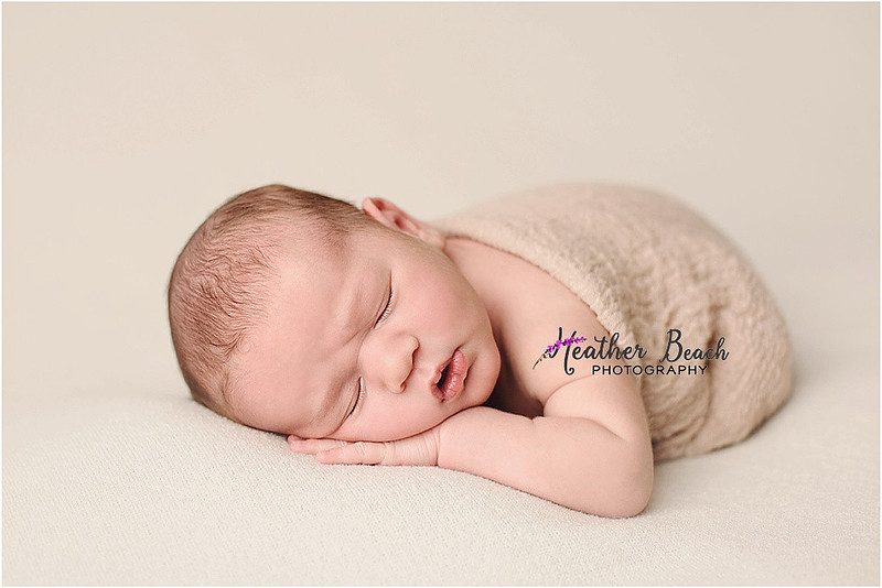 Sun Prairie newborn photographer, Sun Prairie baby photographer, Sun Prairie family photographer, Sun Prairie portrait photographer, Madison newborn photographer, Madison family photographer, newborn photography, studio in Sun Prairie, Studio photography, newborn boy, baby boy photos, fox, chick, wood, family photos