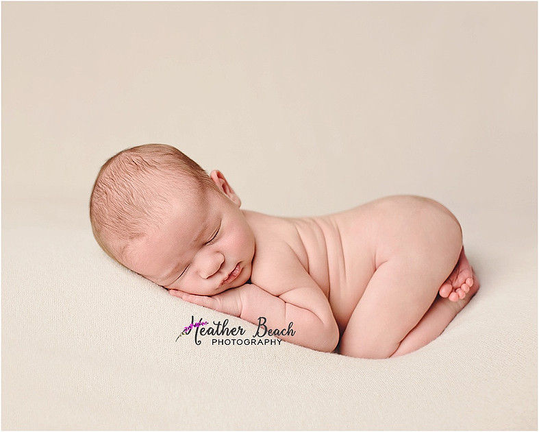 Sun Prairie newborn photographer, Sun Prairie baby photographer, Sun Prairie family photographer, Sun Prairie portrait photographer, Madison newborn photographer, Madison family photographer, newborn photography, studio in Sun Prairie, Studio photography, newborn boy, baby boy photos, fox, chick, wood, family photos