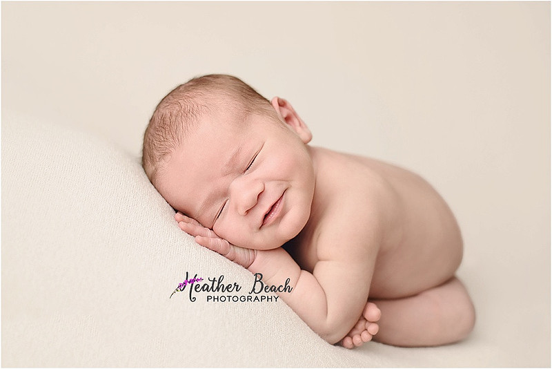 Sun Prairie newborn photographer, Sun Prairie baby photographer, Sun Prairie family photographer, Sun Prairie portrait photographer, Madison newborn photographer, Madison family photographer, newborn photography, studio in Sun Prairie, Studio photography, newborn boy, baby boy photos, fox, chick, wood, family photos