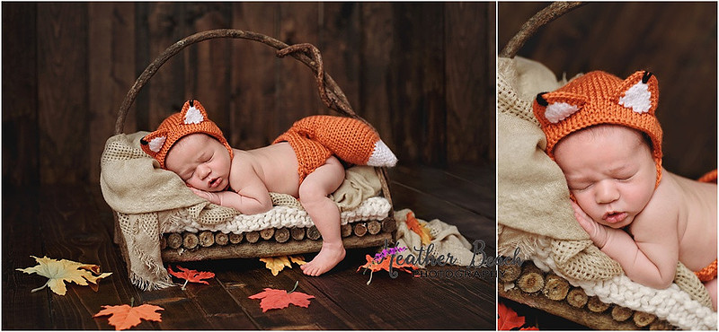 Sun Prairie newborn photographer, Sun Prairie baby photographer, Sun Prairie family photographer, Sun Prairie portrait photographer, Madison newborn photographer, Madison family photographer, newborn photography, studio in Sun Prairie, Studio photography, newborn boy, baby boy photos, fox, chick, wood, family photos