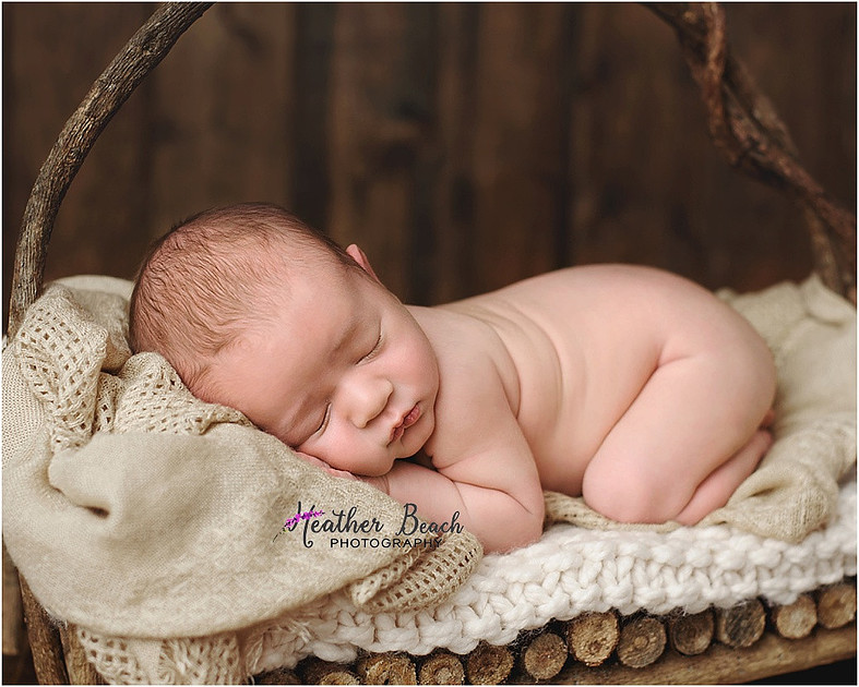 Sun Prairie newborn photographer, Sun Prairie baby photographer, Sun Prairie family photographer, Sun Prairie portrait photographer, Madison newborn photographer, Madison family photographer, newborn photography, studio in Sun Prairie, Studio photography, newborn boy, baby boy photos, fox, chick, wood, family photos