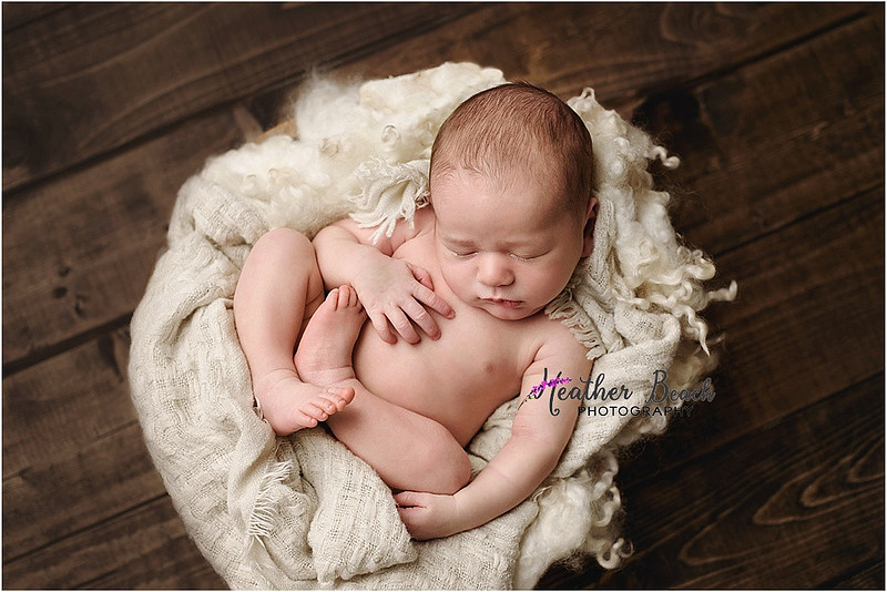 Sun Prairie newborn photographer, Sun Prairie baby photographer, Sun Prairie family photographer, Sun Prairie portrait photographer, Madison newborn photographer, Madison family photographer, newborn photography, studio in Sun Prairie, Studio photography, newborn boy, baby boy photos, fox, chick, wood, family photos