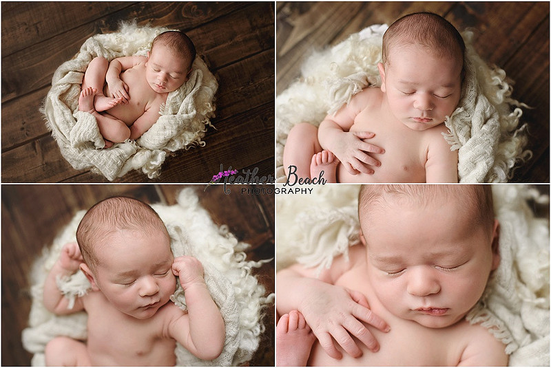 Sun Prairie newborn photographer, Sun Prairie baby photographer, Sun Prairie family photographer, Sun Prairie portrait photographer, Madison newborn photographer, Madison family photographer, newborn photography, studio in Sun Prairie, Studio photography, newborn boy, baby boy photos, fox, chick, wood, family photos