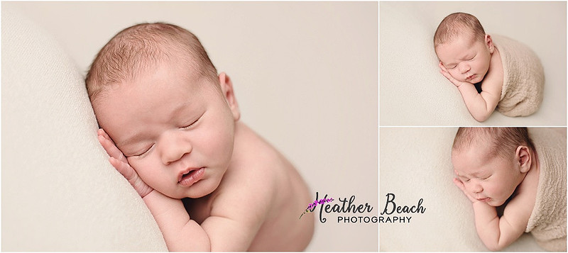 Sun Prairie newborn photographer, Sun Prairie baby photographer, Sun Prairie family photographer, Sun Prairie portrait photographer, Madison newborn photographer, Madison family photographer, newborn photography, studio in Sun Prairie, Studio photography, newborn boy, baby boy photos, fox, chick, wood, family photos