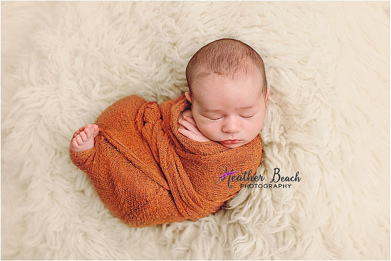 Sun Prairie newborn photographer, Sun Prairie baby photographer, Sun Prairie family photographer, Sun Prairie portrait photographer, Madison newborn photographer, Madison family photographer, newborn photography, studio in Sun Prairie, Studio photography, newborn boy, baby boy photos, fox, chick, wood, family photos