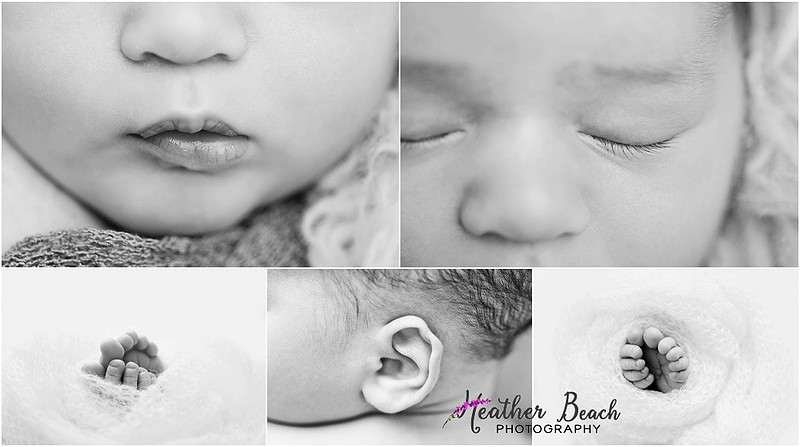 Sun Prairie newborn photographer, Sun Prairie baby photographer, Sun Prairie family photographer, Sun Prairie portrait photographer, Madison newborn photographer, Madison family photographer, newborn photography, studio in Sun Prairie, Studio photography, newborn boy, baby boy photos, fox, chick, wood, family photos