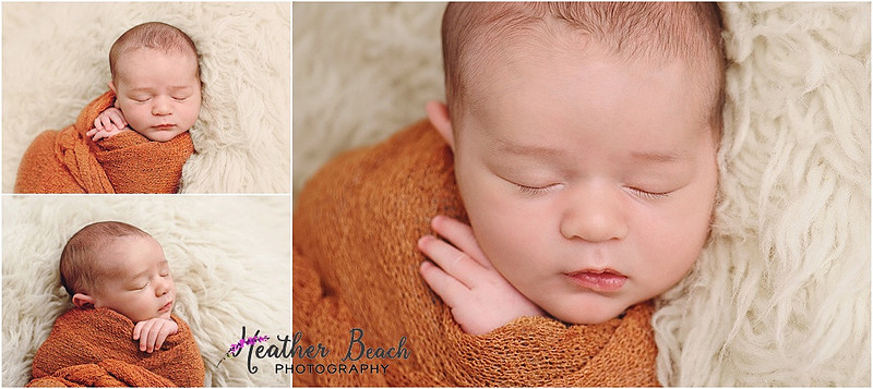 Sun Prairie newborn photographer, Sun Prairie baby photographer, Sun Prairie family photographer, Sun Prairie portrait photographer, Madison newborn photographer, Madison family photographer, newborn photography, studio in Sun Prairie, Studio photography, newborn boy, baby boy photos, fox, chick, wood, family photos