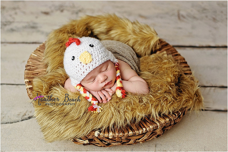 Sun Prairie newborn photographer, Sun Prairie baby photographer, Sun Prairie family photographer, Sun Prairie portrait photographer, Madison newborn photographer, Madison family photographer, newborn photography, studio in Sun Prairie, Studio photography, newborn boy, baby boy photos, fox, chick, wood, family photos