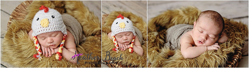 Sun Prairie newborn photographer, Sun Prairie baby photographer, Sun Prairie family photographer, Sun Prairie portrait photographer, Madison newborn photographer, Madison family photographer, newborn photography, studio in Sun Prairie, Studio photography, newborn boy, baby boy photos, fox, chick, wood, family photos