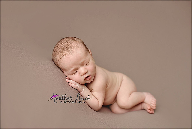 Sun Prairie newborn photographer, Sun Prairie baby photographer, Sun Prairie family photographer, Sun Prairie portrait photographer, Madison newborn photographer, Madison family photographer, newborn photography, studio in Sun Prairie, Studio photography, newborn boy, baby boy photos, fox, chick, wood, family photos