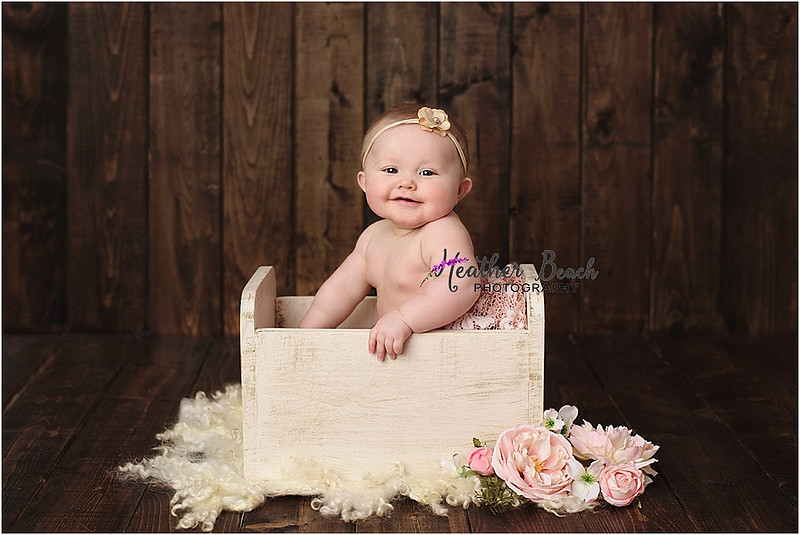 Sun Prairie baby photographer, Sun Prairie portrait photographer, Sun Prairie child photographer, Madison baby photographer, Madison portrait photographer, 6 month old, baby girl, halo headband, flowers, wood, cute baby, cute baby pics, studio photography, child photography, baby photography, Sun Prairie studio