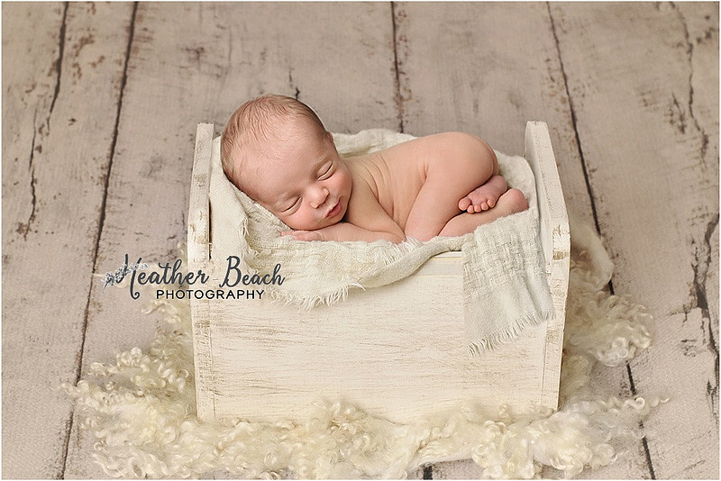 siblings, brothers, family with newborn, Sun Prairie newborn photographer, Sun Prairie portrait photographer,  newborn boy, studio photography