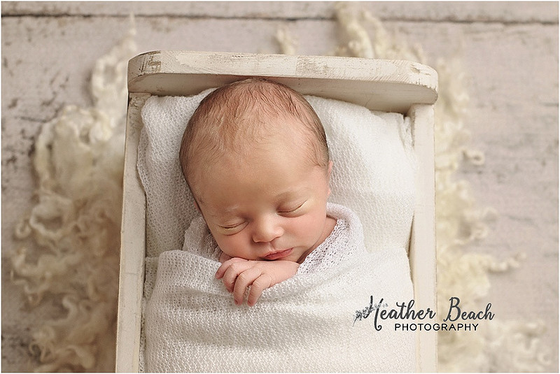 siblings, brothers, family with newborn, Sun Prairie newborn photographer, Sun Prairie portrait photographer,  newborn boy, studio photography