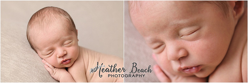 siblings, brothers, family with newborn, Sun Prairie newborn photographer, Sun Prairie portrait photographer,  newborn boy, studio photography