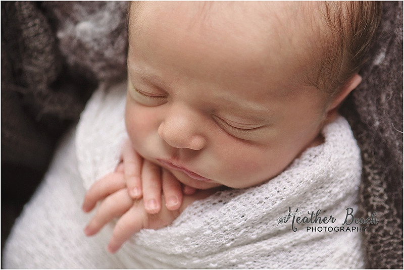 siblings, brothers, family with newborn, Sun Prairie newborn photographer, Sun Prairie portrait photographer,  newborn boy, studio photography