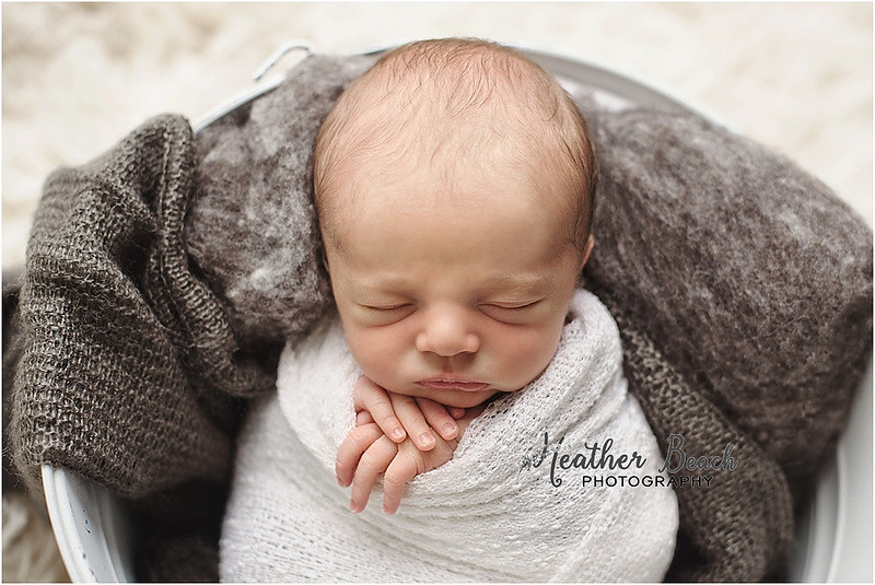 siblings, brothers, family with newborn, Sun Prairie newborn photographer, Sun Prairie portrait photographer,  newborn boy, studio photography