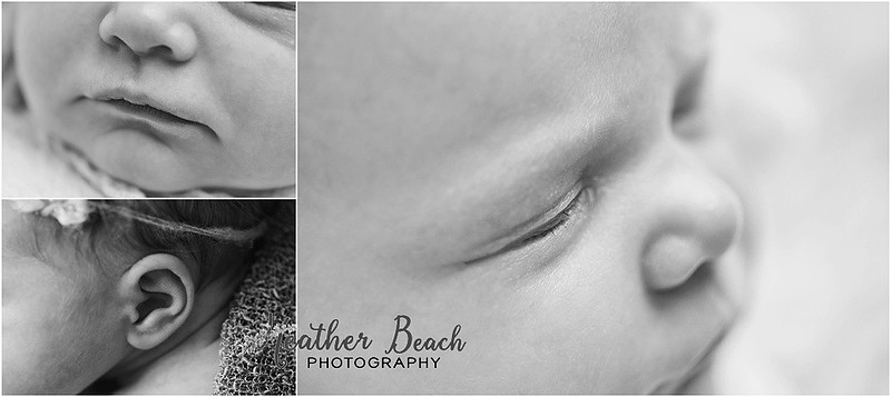 Baby girl, three girls, sisters, newborn with family, Sun Prairie newborn photographer, newborn photography, Sun Prairie portrait photographer, Madison newborn photographer, baby in pink