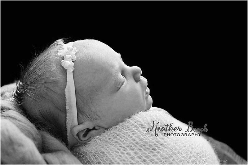 Baby girl, three girls, sisters, newborn with family, Sun Prairie newborn photographer, newborn photography, Sun Prairie portrait photographer, Madison newborn photographer, baby in pink