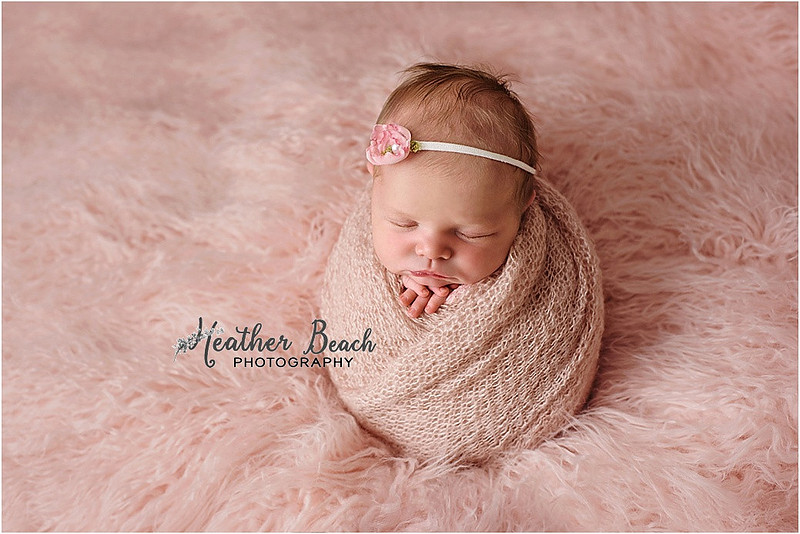 Baby girl, three girls, sisters, newborn with family, Sun Prairie newborn photographer, newborn photography, Sun Prairie portrait photographer, Madison newborn photographer, baby in pink