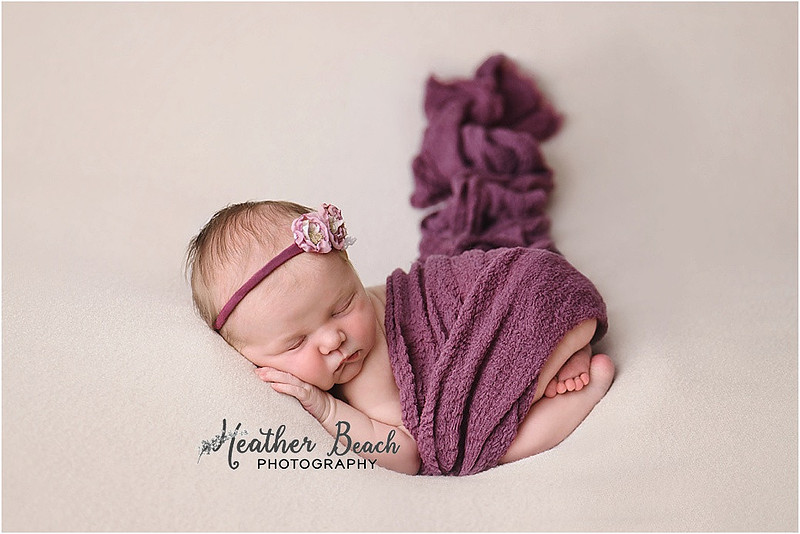 Baby girl, three girls, sisters, newborn with family, Sun Prairie newborn photographer, newborn photography, Sun Prairie portrait photographer, Madison newborn photographer, baby in pink